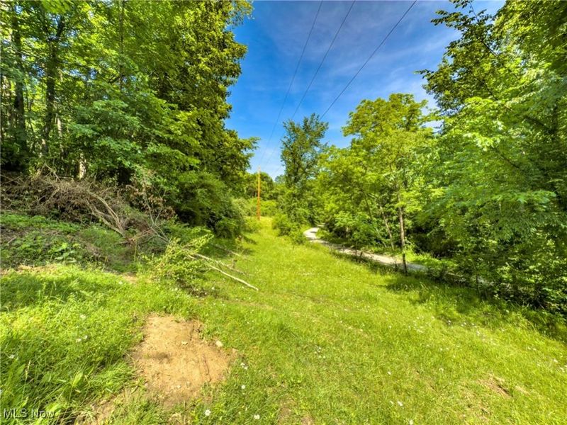 15 acres Saffell Road, Belmont, OH 43718 Photo 23