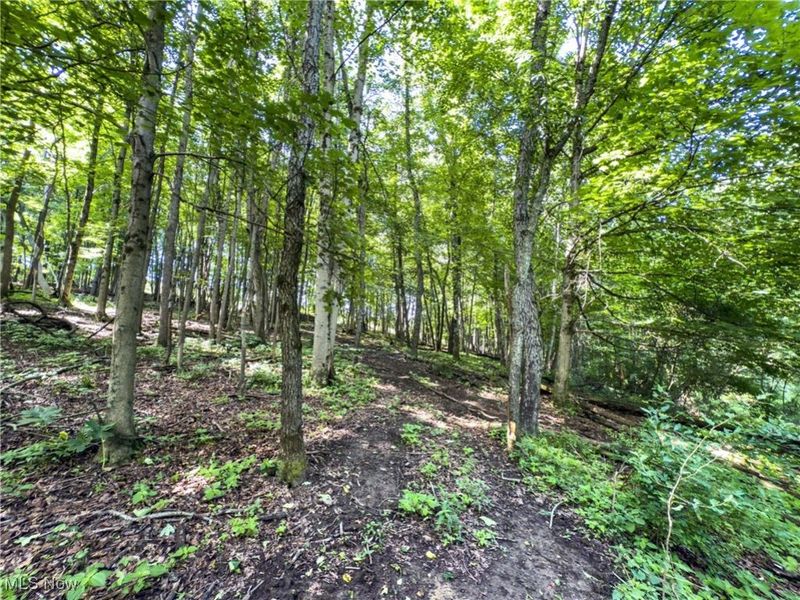 15 acres Saffell Road, Belmont, OH 43718 Photo 27