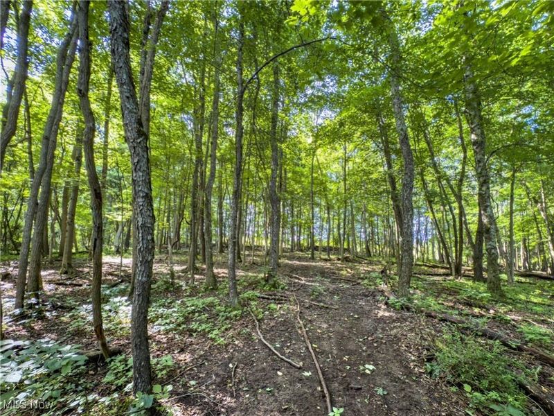 15 acres Saffell Road, Belmont, OH 43718 Photo 28