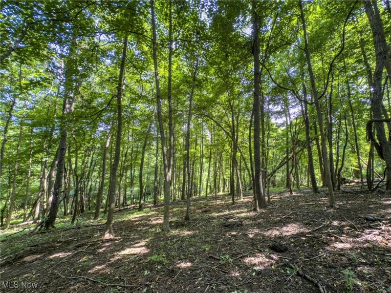 15 acres Saffell Road, Belmont, OH 43718 Photo 30