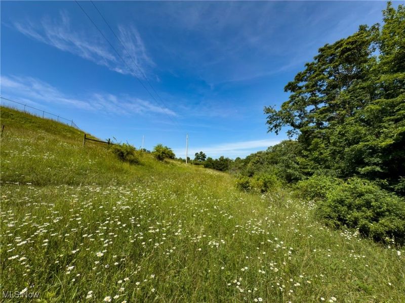15 acres Saffell Road, Belmont, OH 43718 Photo 32