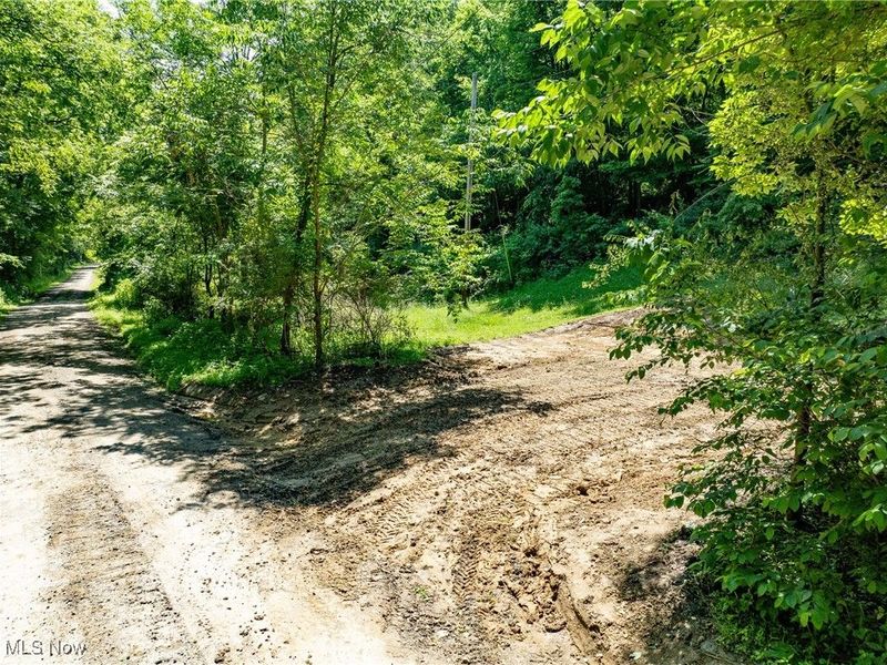 15 acres Saffell Road, Belmont, OH 43718 Photo 5