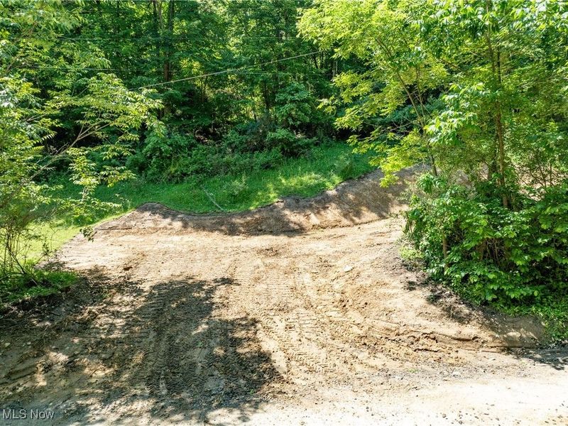 15 acres Saffell Road, Belmont, OH 43718 Photo 6