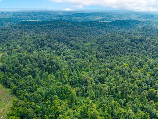 0 Brumfield Road, Crown City, OH 45623