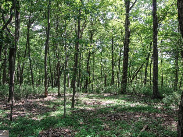 8088 Ridgeview Drive, Big Canoe, GA 30143