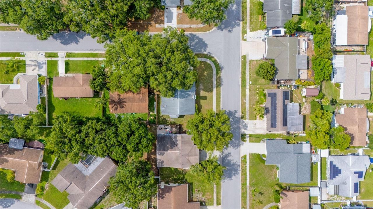 5116 Plantation Drive, Holiday, FL 34690 Photo