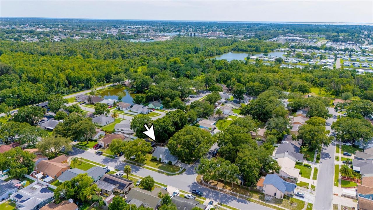 5116 Plantation Drive, Holiday, FL 34690 Photo