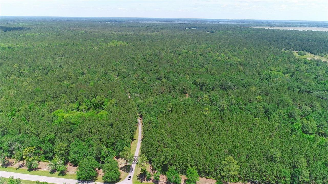 15305 NW Hwy 320, Micanopy, FL 32667 Photo