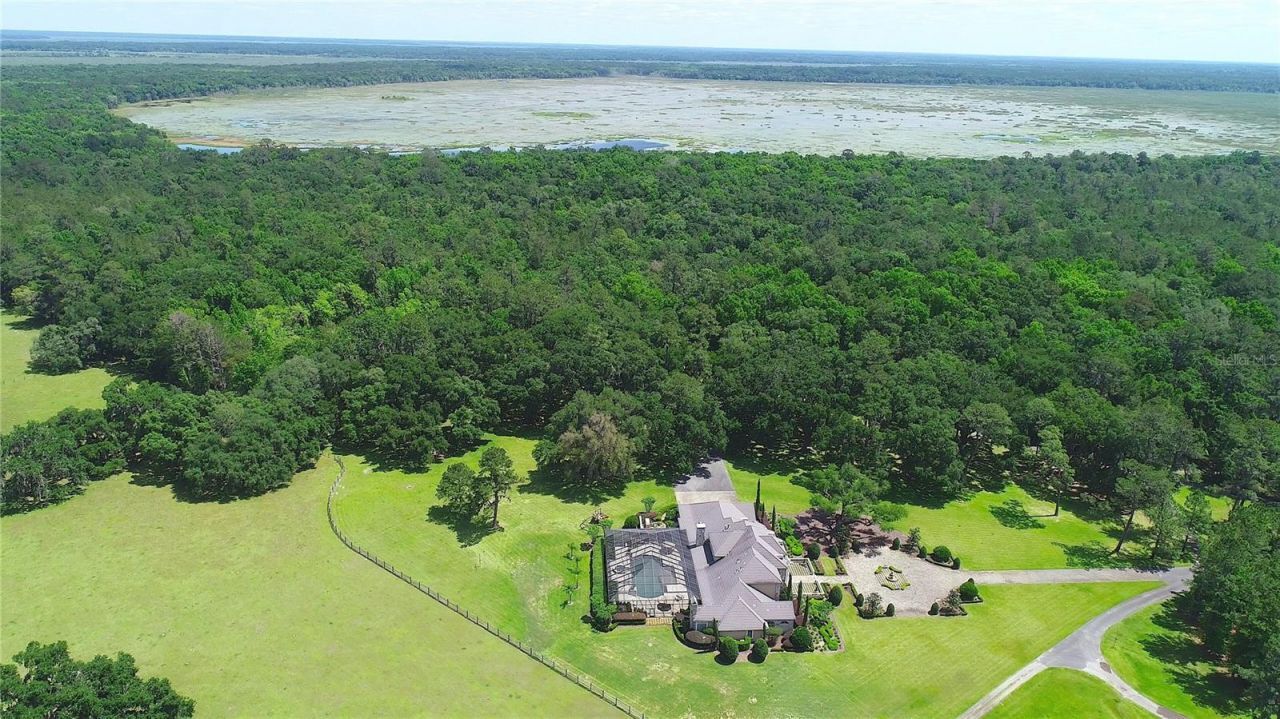 15305 NW Hwy 320, Micanopy, FL 32667 Photo