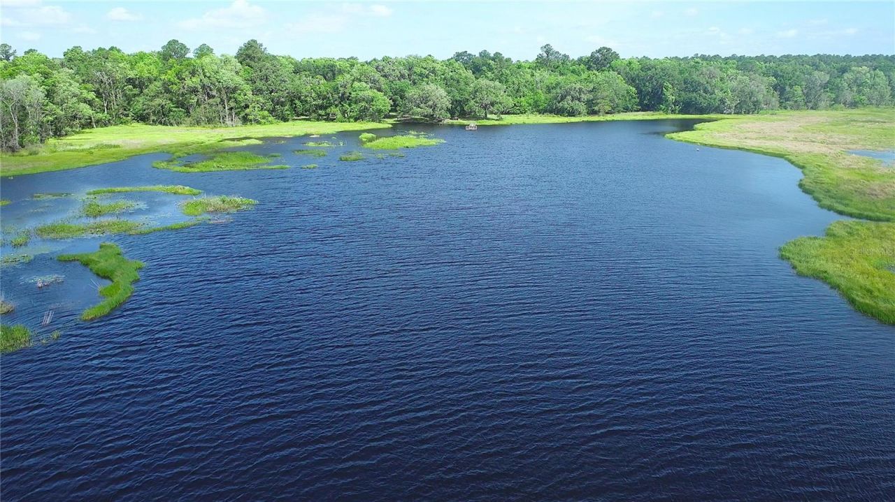 15305 NW Hwy 320, Micanopy, FL 32667 Photo