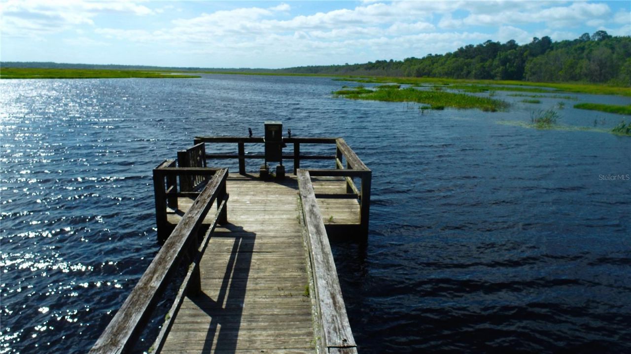 15305 NW Hwy 320, Micanopy, FL 32667 Photo