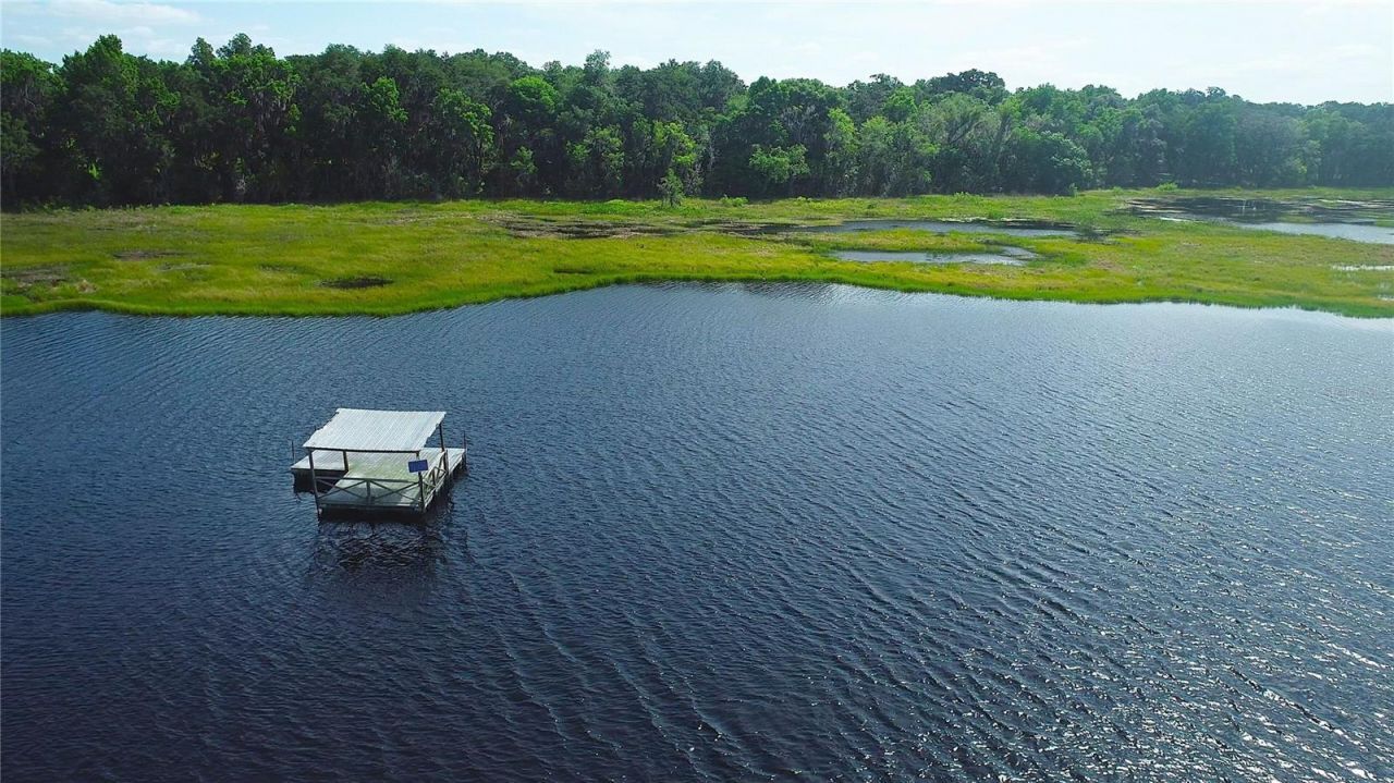 15305 NW Hwy 320, Micanopy, FL 32667 Photo