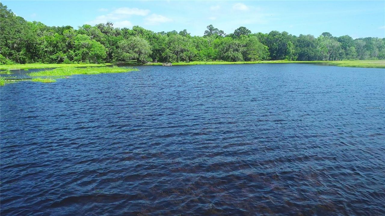 15305 NW Hwy 320, Micanopy, FL 32667 Photo