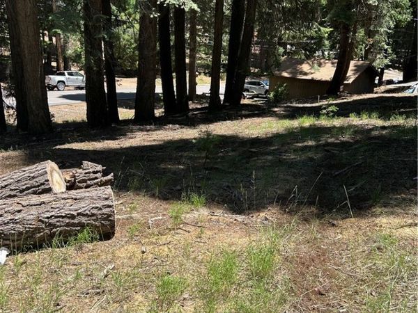 631 Cedar Canyon Road, Westwood, CA 96137