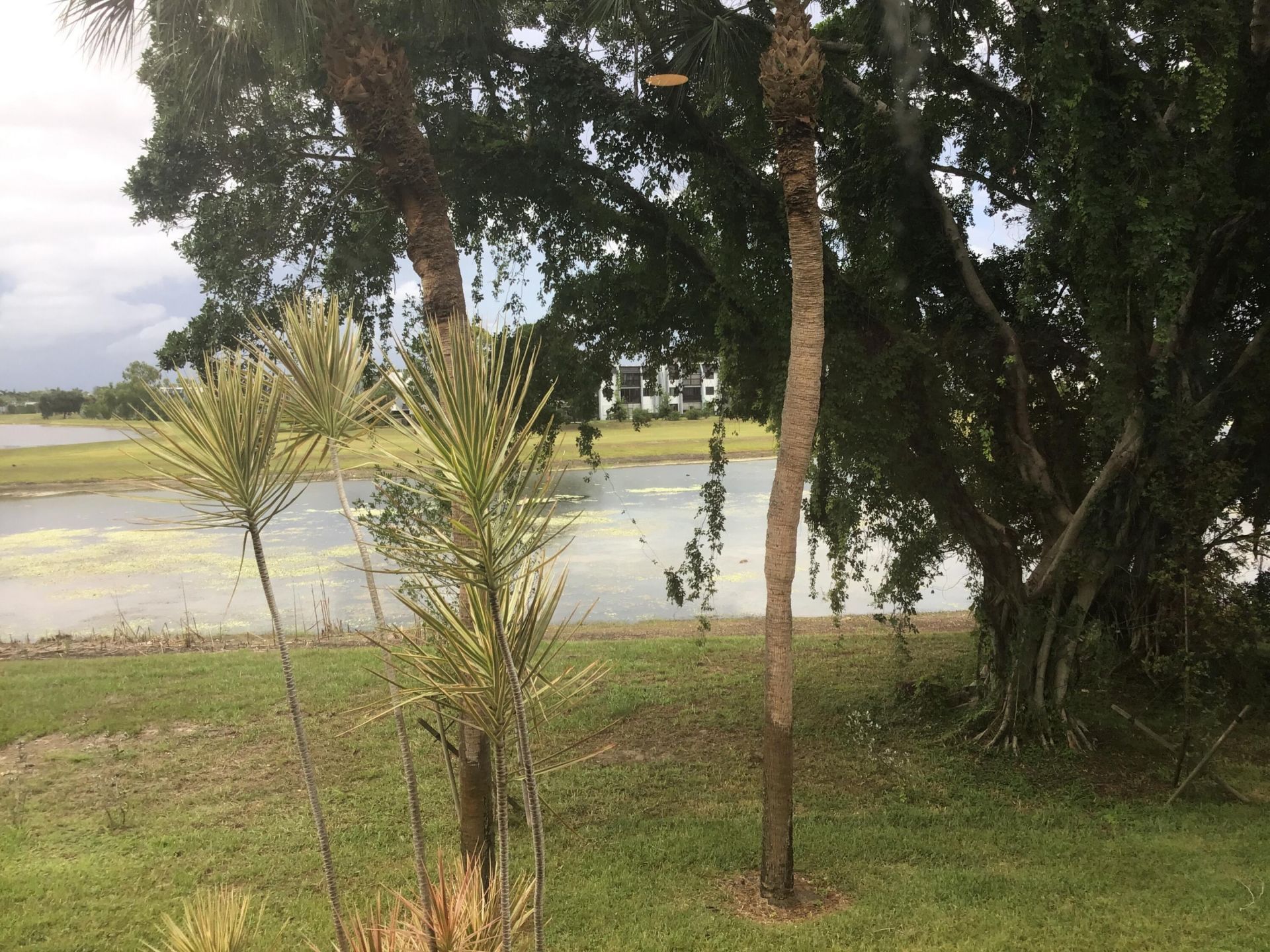 4822 Esedra Court, Unit 207, Lake Worth, FL 33467 Photo