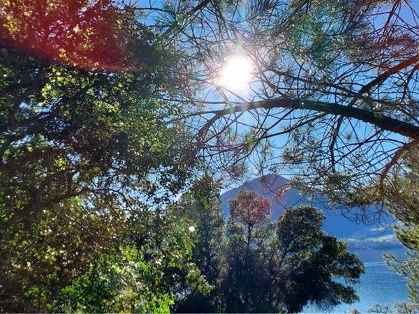 2891 San Joaquin Avenue, Clearlake, CA 95424