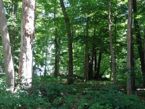 26XX Tuck A Way Trail, Rockford, IL 61107