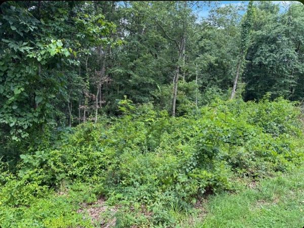Lot 2 Baltes Drive, Bella Vista, AR 72714