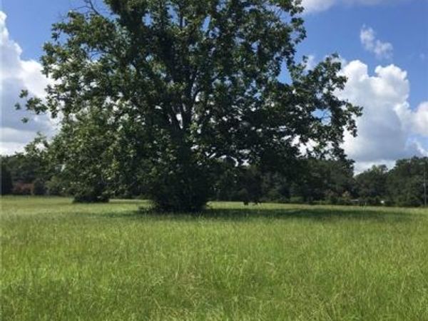 tbd BUCK ANTHONY Road, Folsom, LA 70437