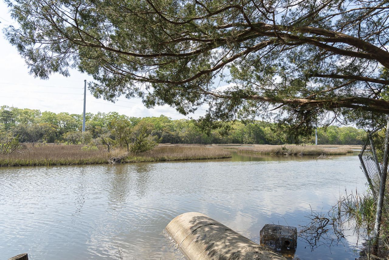 2553 Etiwan Avenue Photo 35