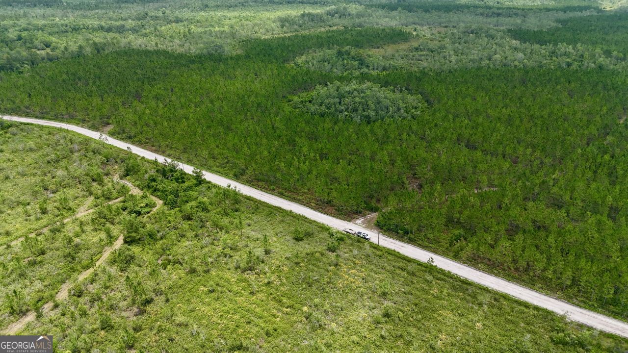 0 Fire Tower Road, Manor, GA 31550 Main Photo
