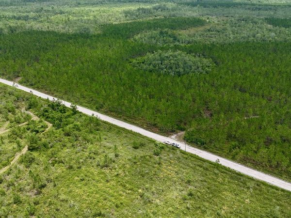 0 Fire Tower Road, Manor, GA 31550