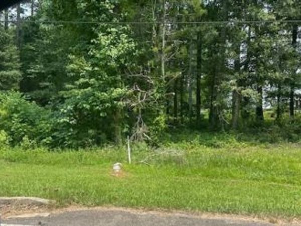 0 Hwy 54, Sharpsburg, GA 30277