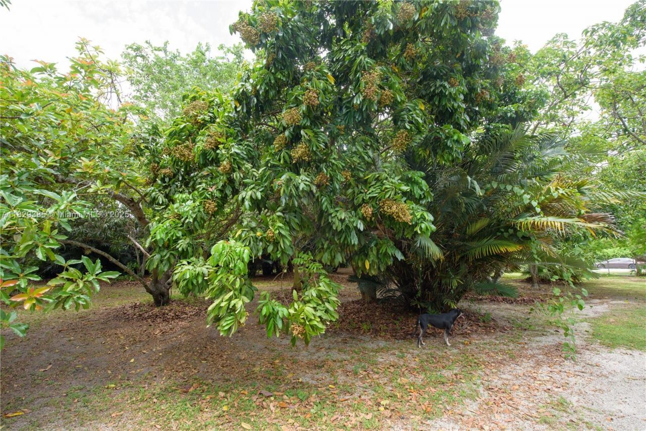 20350 SW 182nd Ave, Miami, FL 33187 Photo