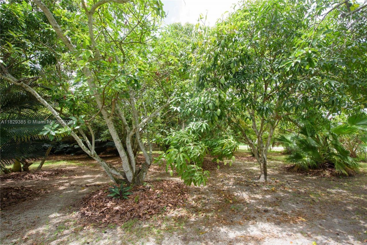 20350 SW 182nd Ave, Miami, FL 33187 Photo