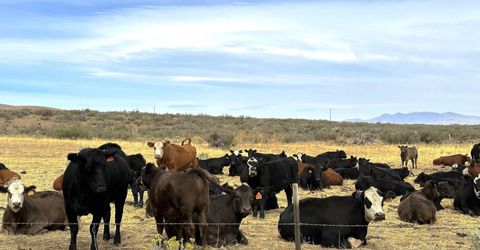 432-250 Constantia Road, Doyle, CA 96109 Photo