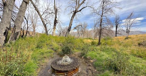 432-250 Constantia Road, Doyle, CA 96109 Photo