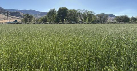 432-250 Constantia Road, Doyle, CA 96109 Photo