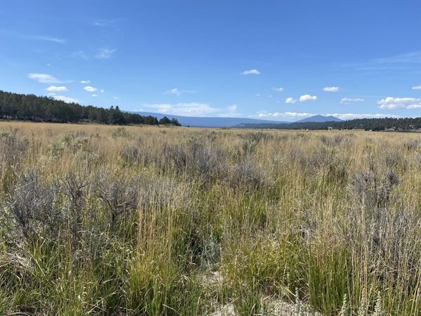 NKA Jackson Street, Unit Lot 1 & 2, Sprague River, OR 97639