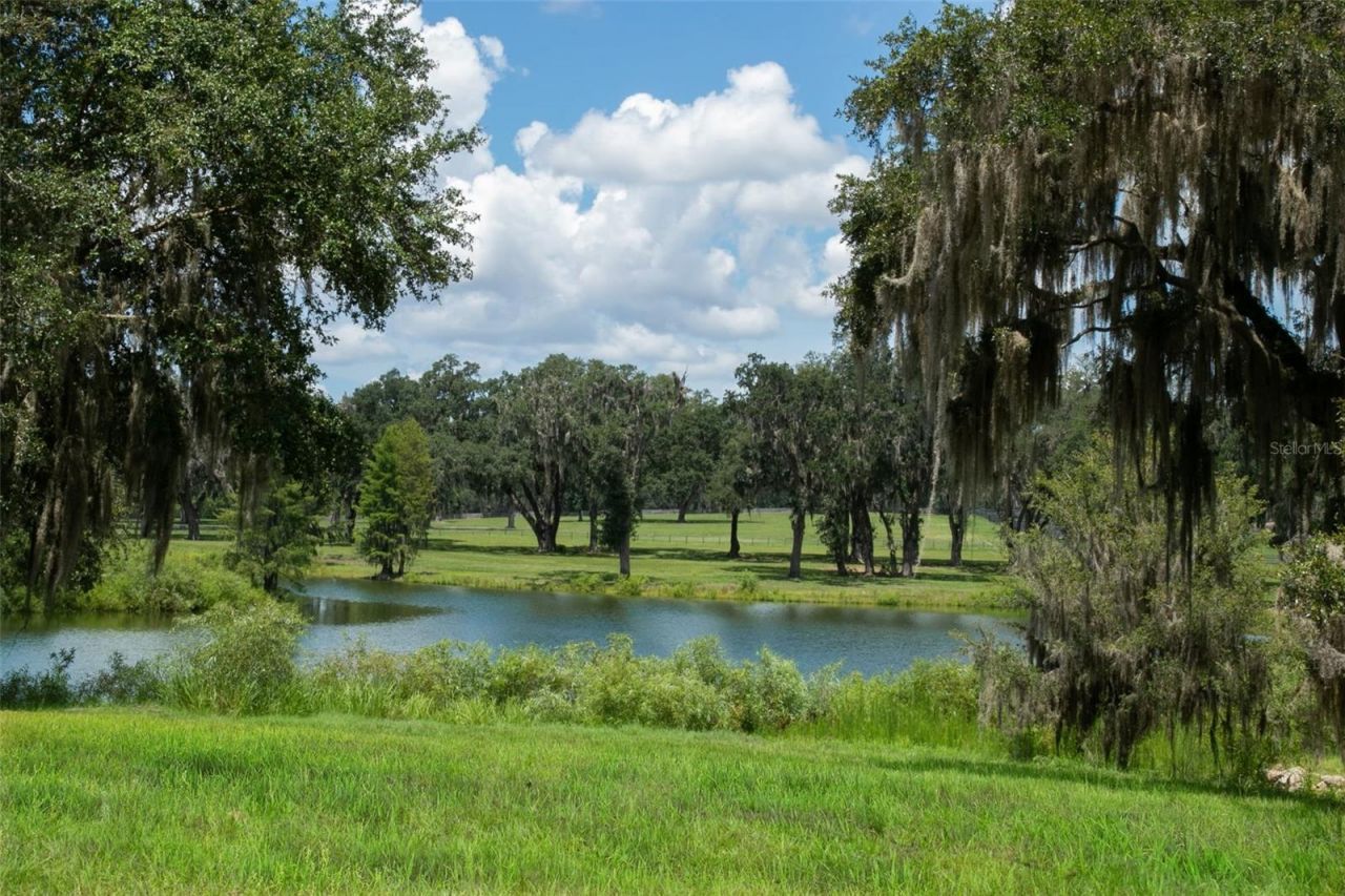 5540 SE 157th Street Road, Summerfield, FL 34491 Photo