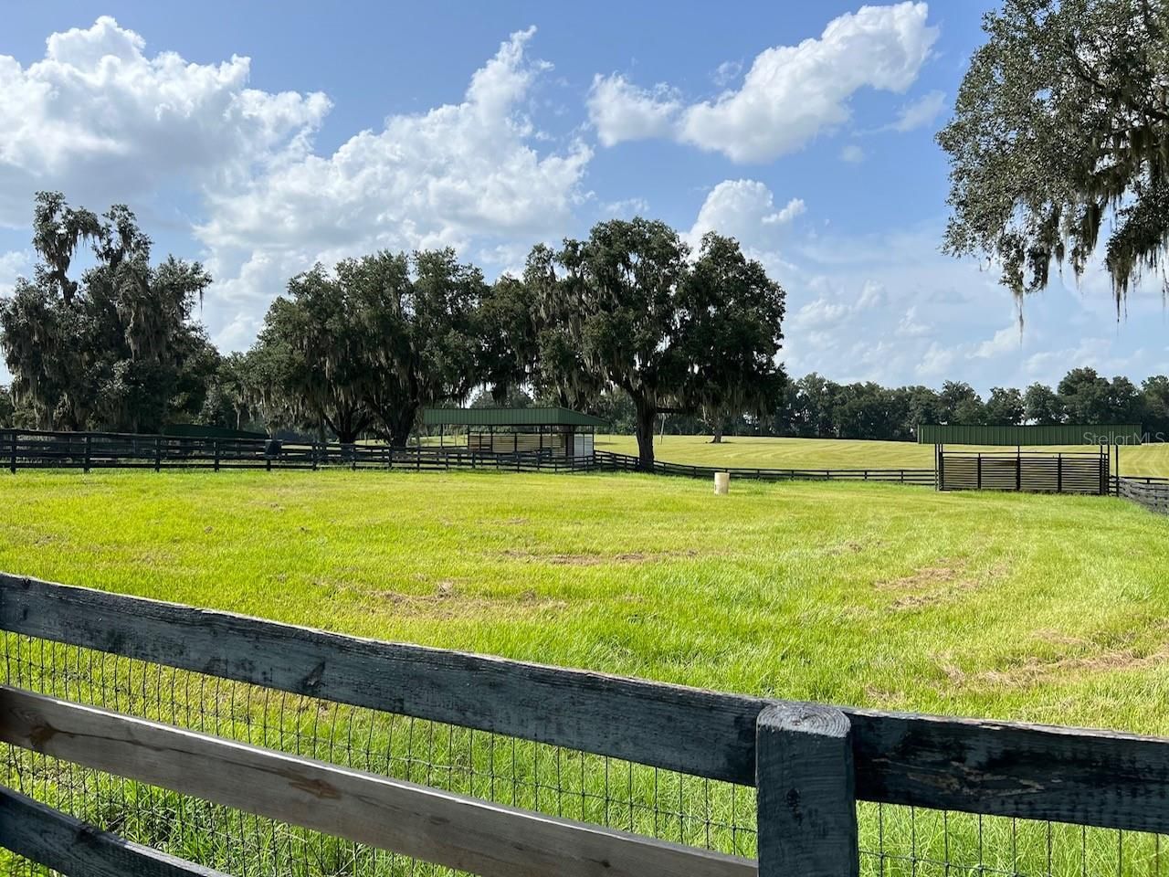 5540 SE 157th Street Road, Summerfield, FL 34491 Photo