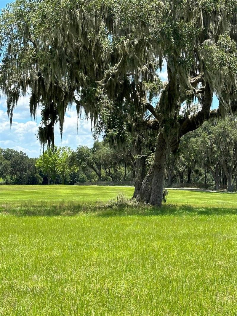 5540 SE 157th Street Road, Summerfield, FL 34491 Photo