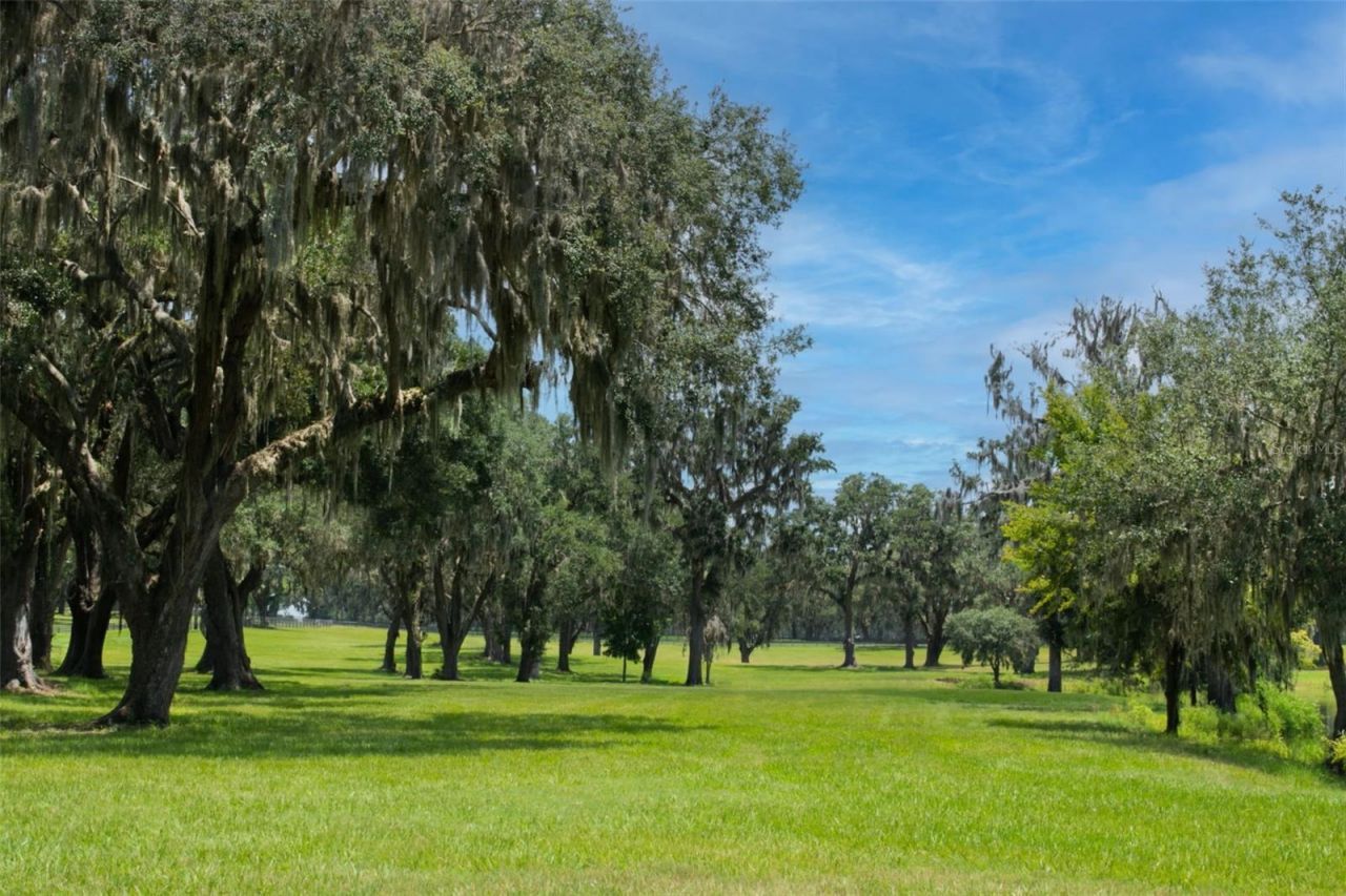 5540 SE 157th Street Road, Summerfield, FL 34491 Photo