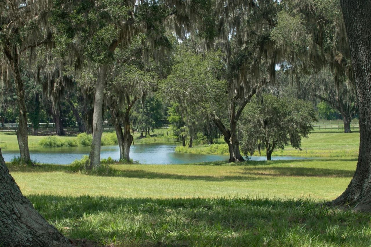 5540 SE 157th Street Road, Summerfield, FL 34491 Photo