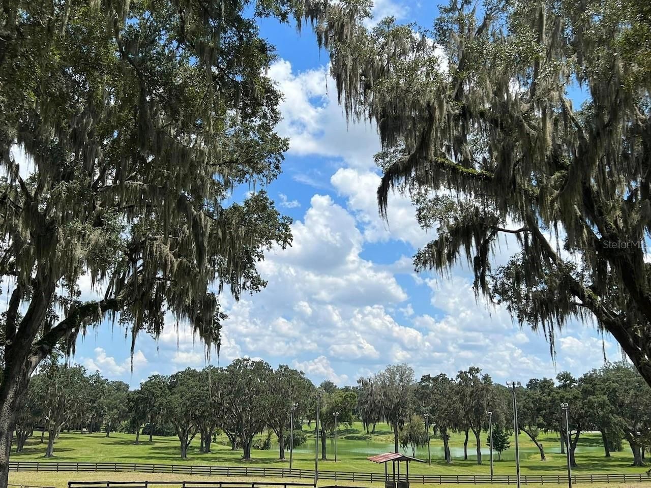 5540 SE 157th Street Road, Summerfield, FL 34491 Photo