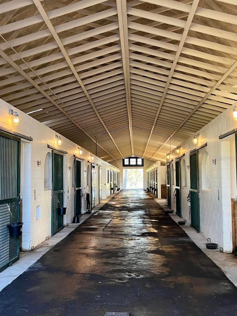 5540 SE 157th Street Road, Summerfield, FL 34491 Photo