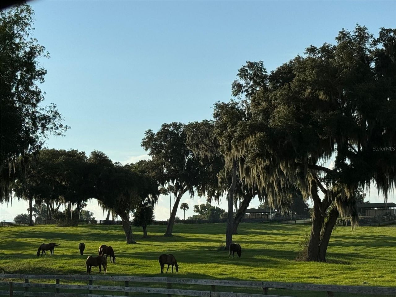 5540 SE 157th Street Road, Summerfield, FL 34491 Photo