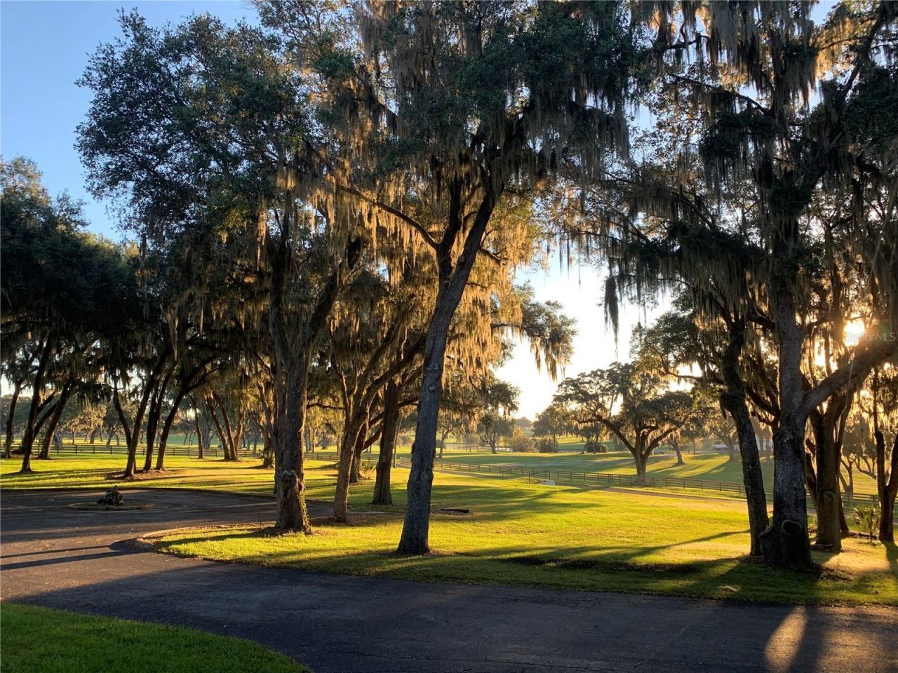 5540 SE 157th Street Road, Summerfield, FL 34491 Photo