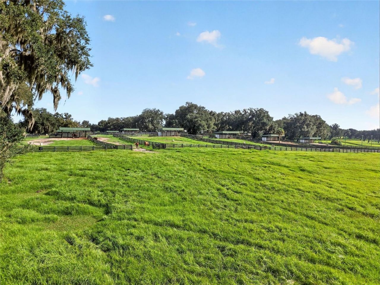 5540 SE 157th Street Road, Summerfield, FL 34491 Photo