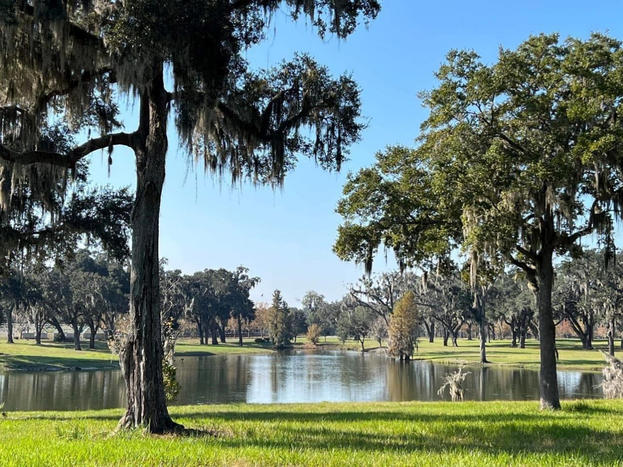 5540 SE 157th Street Road, Summerfield, FL 34491 Photo