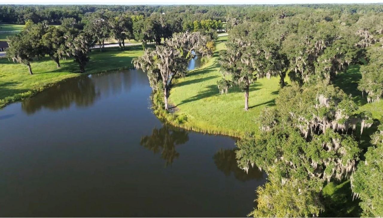5540 SE 157th Street Road, Summerfield, FL 34491 Photo