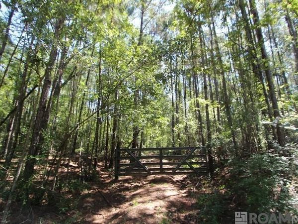 0 Aunt Margies Road, Greensburg, LA 70441
