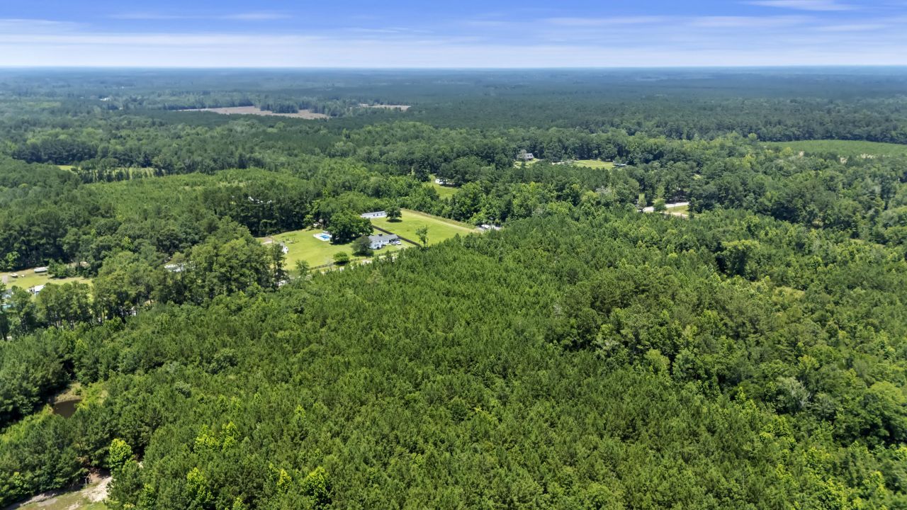 1667 Mudville Road Photo 5