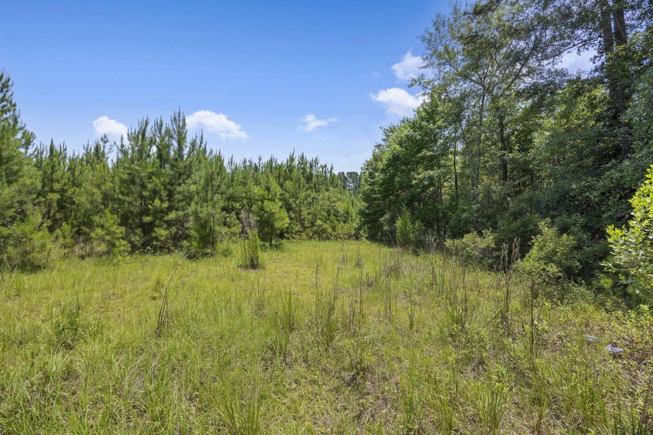 1667 Mudville Road Photo 8