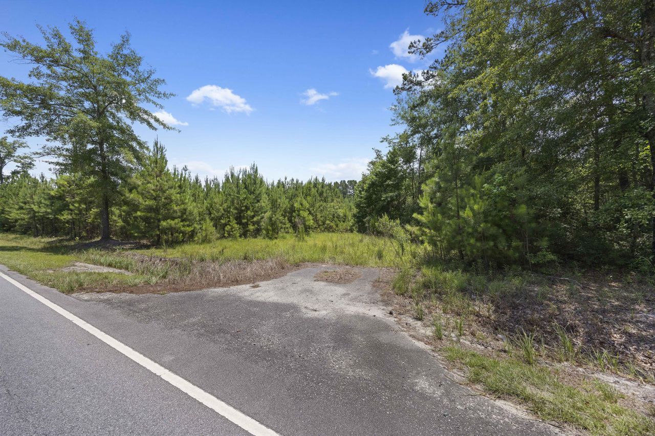 1667 Mudville Road Photo 9