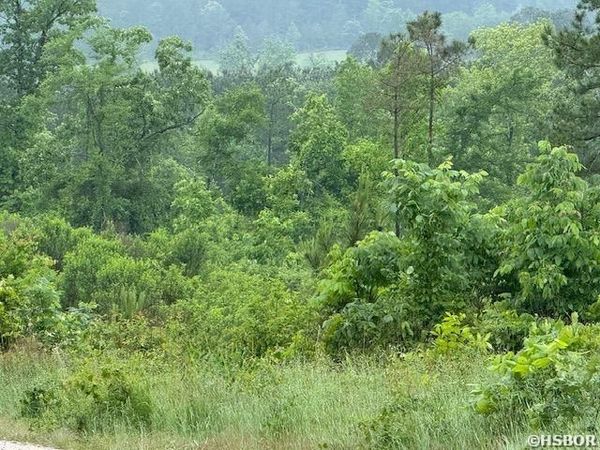 300 Block ANGEL, Amity, AR 71921